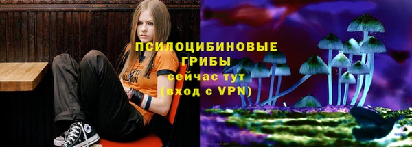 марки nbome Пересвет