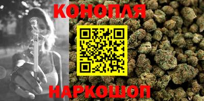 стафф Новокубанск