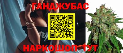 стафф Новокубанск