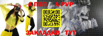 стафф Новокубанск