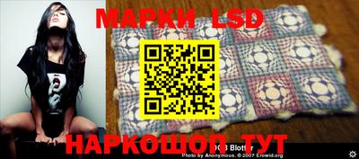 стафф Новокубанск