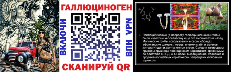 blacksprut как зайти  продажа наркотиков  Снежинск  Псилоцибиновые грибы Cubensis 