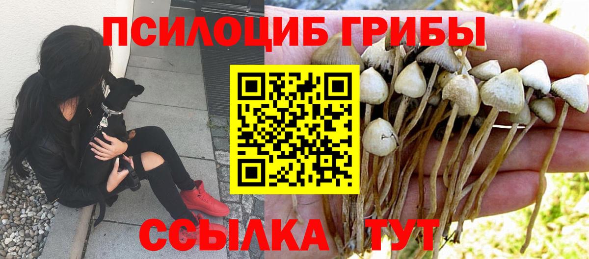 Галлюциногенные грибы прущие грибы  Вход с VPN  Снежинск  Псилоцибиновые грибы прущие грибы 